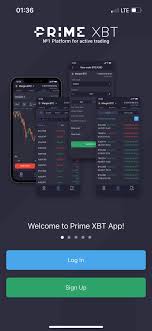 The Incredible Journey of the PrimeXBT Team The Incredible Journey of the PrimeXBT Team