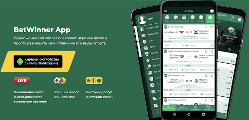 Discover the Excitement of Betwinner Live Sports