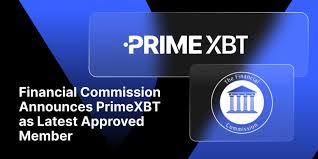 Exploring PrimeXBT Alternatives Discover the Best Options for Trading