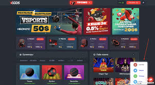 Ставки на молодежный крикет Как и где делать ставки