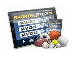 Tout savoir sur Betwinner  promotions, paris sportifs et plus